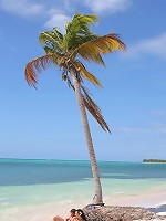 Beautiful Regina Moon sucks big cock and rides it hard on the tropical beach